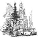 I Claim this land for Sequioa sempervirens!