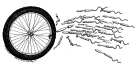The Cycle of Life