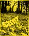 Consumption 6