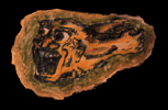 Angry Head